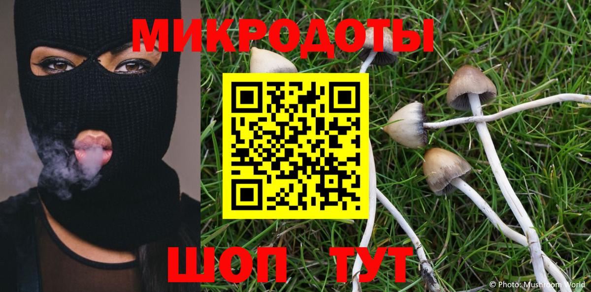 Псилоцибиновые грибы GOLDEN TEACHER  Вход с VPN  как найти закладки  Конаково 